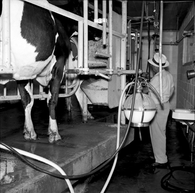 094_inspected barns... (undated).jpg